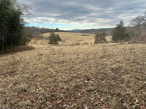 Vacant Land For Sale - TBD Old Offen Po Road<br/> Traphill, NC 28685