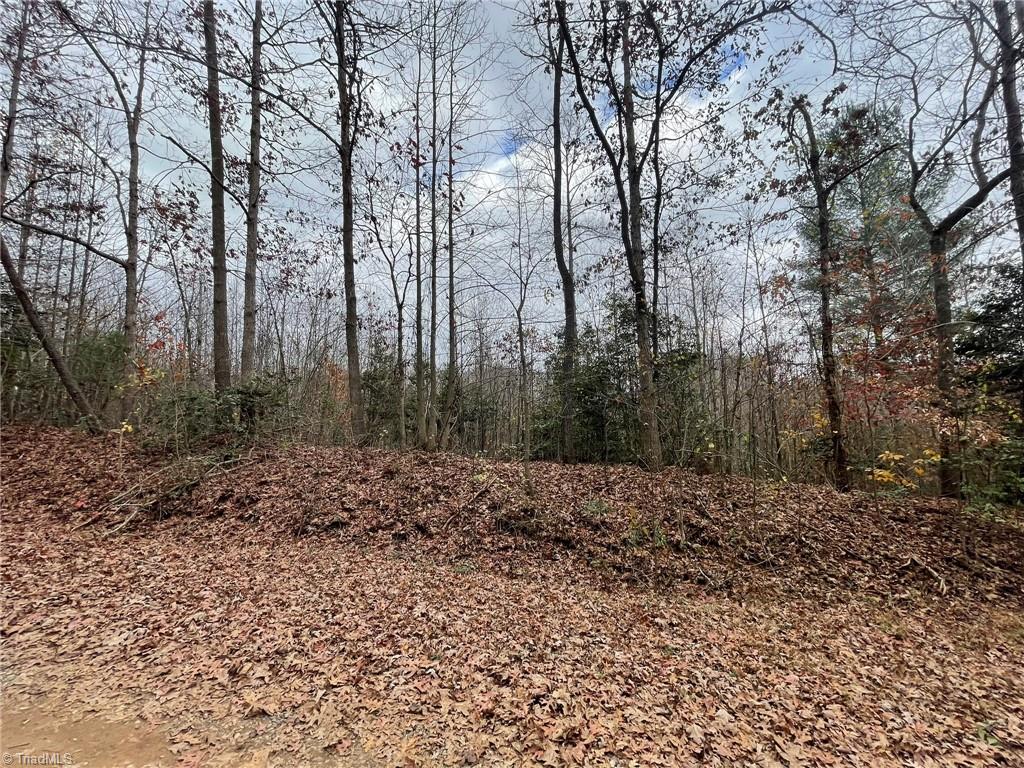 Lot 8910 Pulco Lane, Ronda, North Carolina image 7