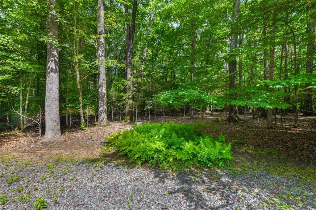 Browns Summit, North Carolina 27214, United States, 3 Bedrooms Bedrooms, ,2 BathroomsBathrooms,Residential,Active,87671