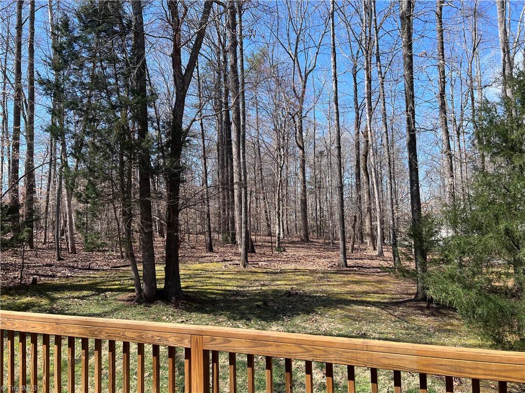 2608 River Run Road, Browns Summit, North Carolina image 4