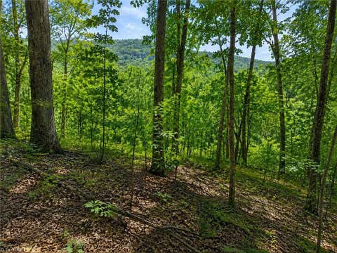 Vacant Land For Sale - Sheppard Mill Road<br/> Stokes County, Danbury, NC 27016