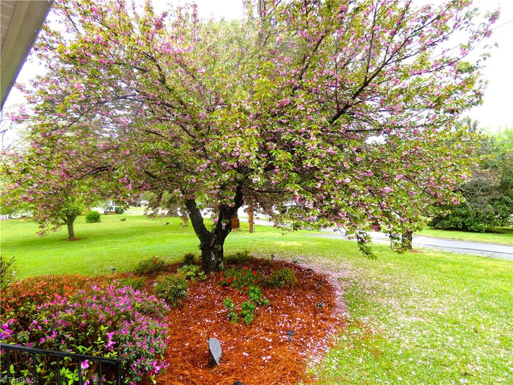 6432 Salem Chapel Court, Walnut Cove, North Carolina image 10