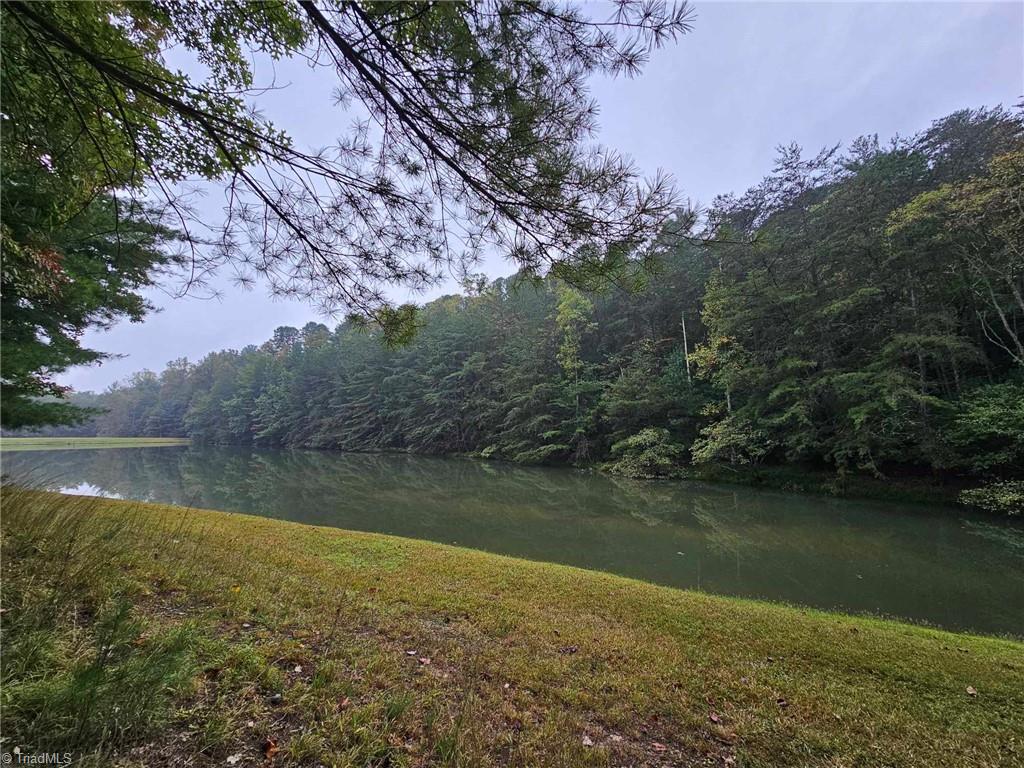 LOT 11 Baldwin Drive, Lowgap, North Carolina image 6