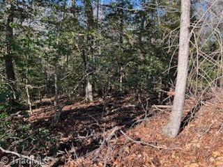 Lot 13 Stevens Drive, Jonesville, North Carolina image 4