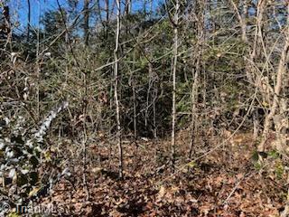 Lot 13 Stevens Drive, Jonesville, North Carolina image 3