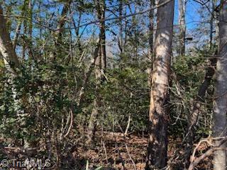 Lot 13 Stevens Drive, Jonesville, North Carolina image 5