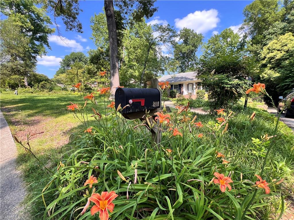 508 Audubon Drive