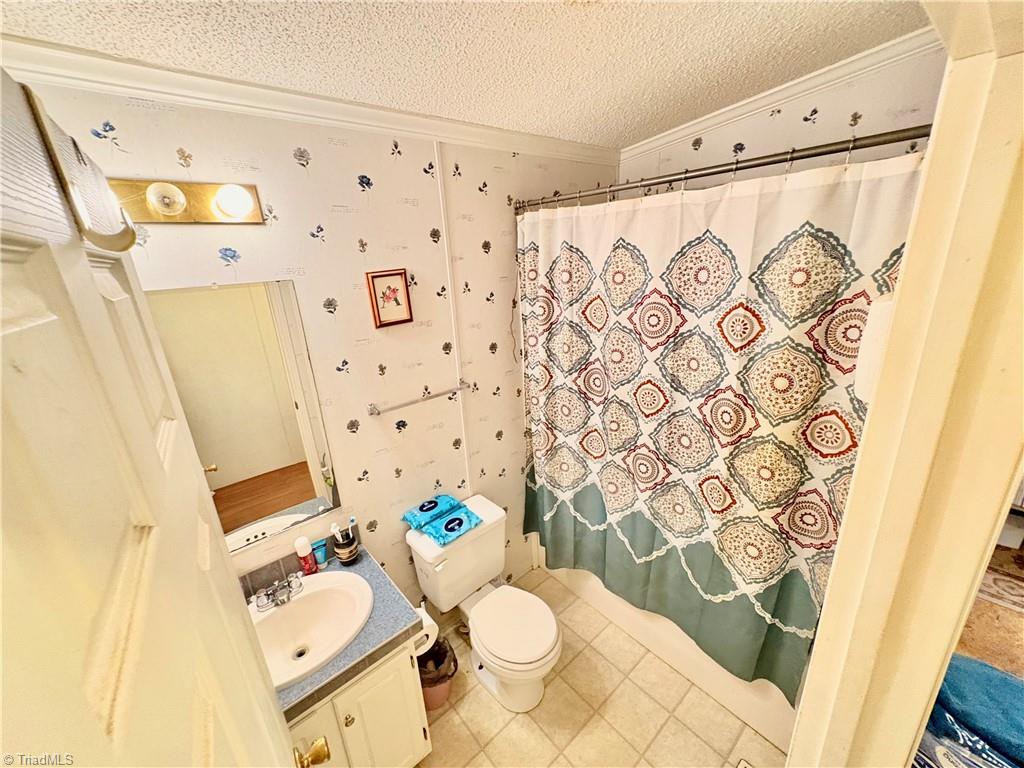 731 Ramseur Julian Road, Ramseur, North Carolina image 19