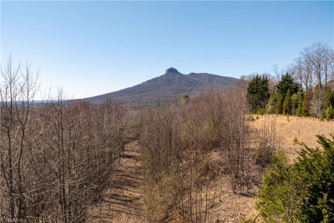 Vacant Land For Sale - 222 Hummingbird Lane<br/> Surry County, Pilot Mountain, NC 27041