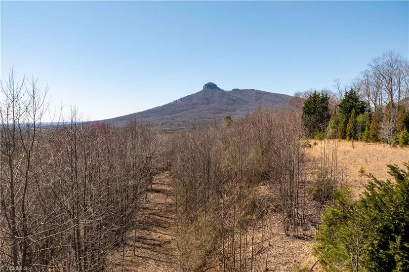 222 Hummingbird Lane, photo 1 of 33