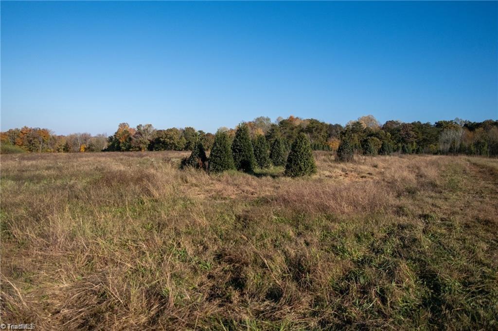 Boyd Road, Reidsville, North Carolina image 10