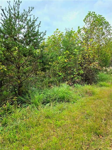 Vacant Land For Sale - 00 Holly Brook Street<br/> North Wilkesboro, NC 28659