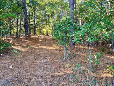 Vacant Land For Sale - Hylan Avenue<br/> Hamlet, NC 28345