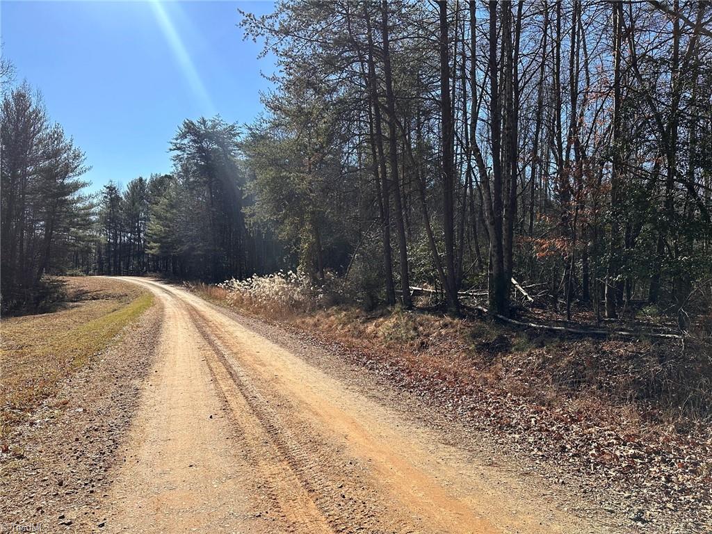 220 Rainbow Trout Drive, Hays, North Carolina image 6