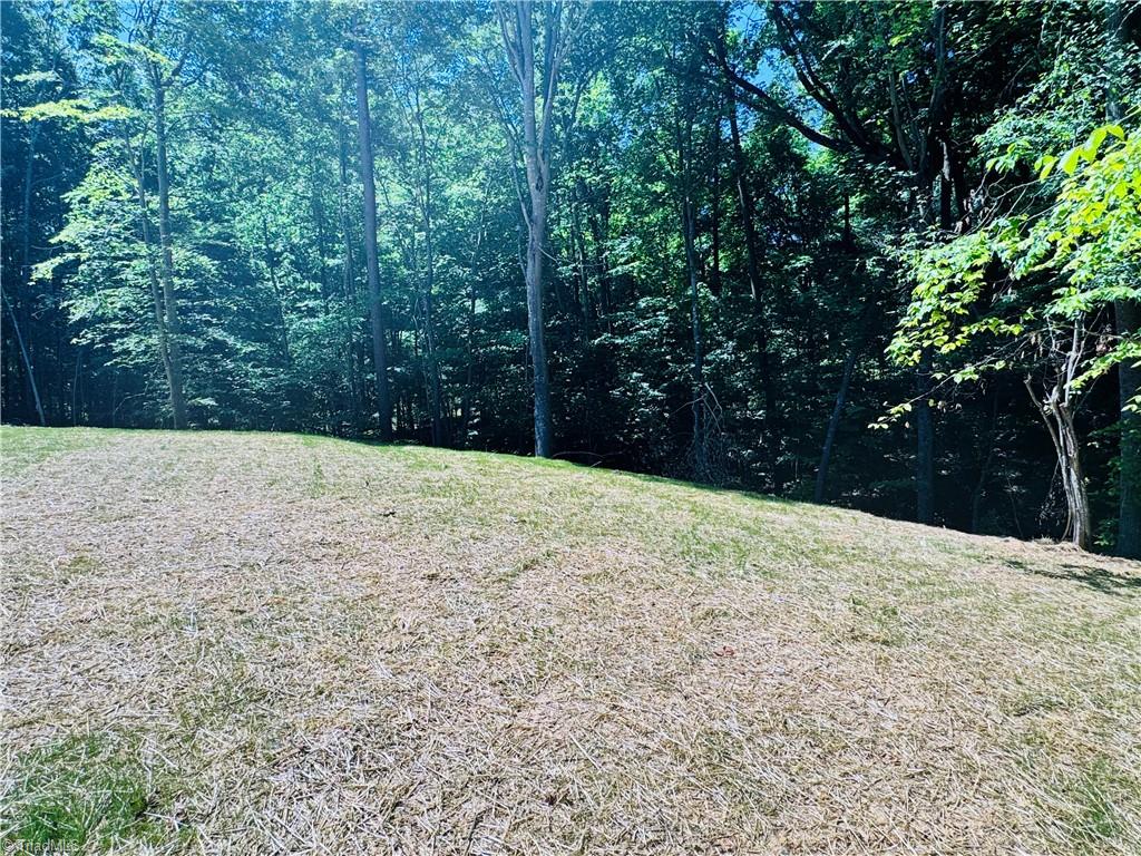 261 Riverview Lane, Lexington, North Carolina image 30