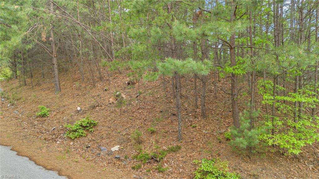 135 Chestnut Mountain Farms Parkway, McGrady, North Carolina image 6