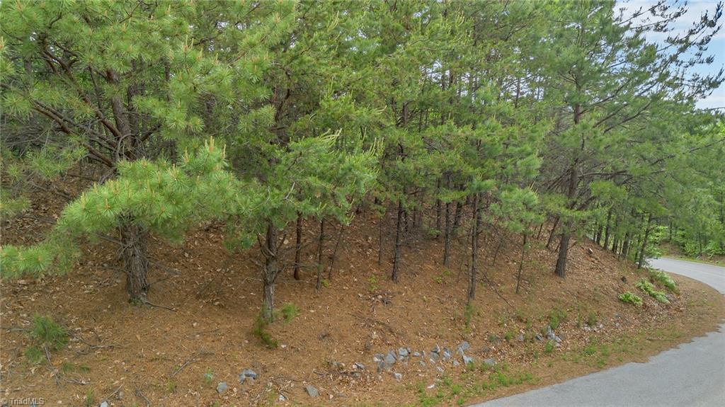 135 Chestnut Mountain Farms Parkway, McGrady, North Carolina image 4