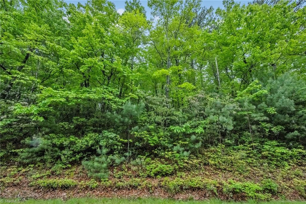 135 Chestnut Mountain Farms Parkway, McGrady, North Carolina image 18