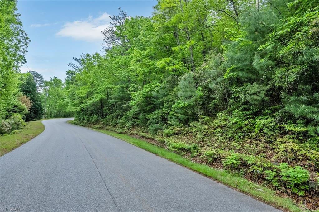 135 Chestnut Mountain Farms Parkway, McGrady, North Carolina image 15
