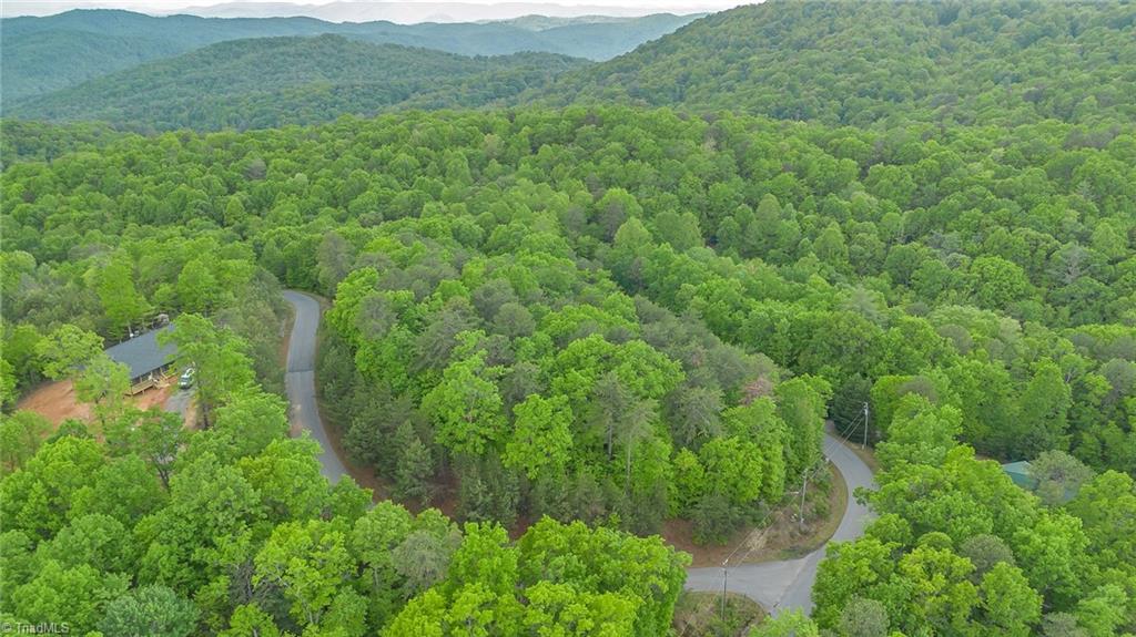 135 Chestnut Mountain Farms Parkway, McGrady, North Carolina image 7
