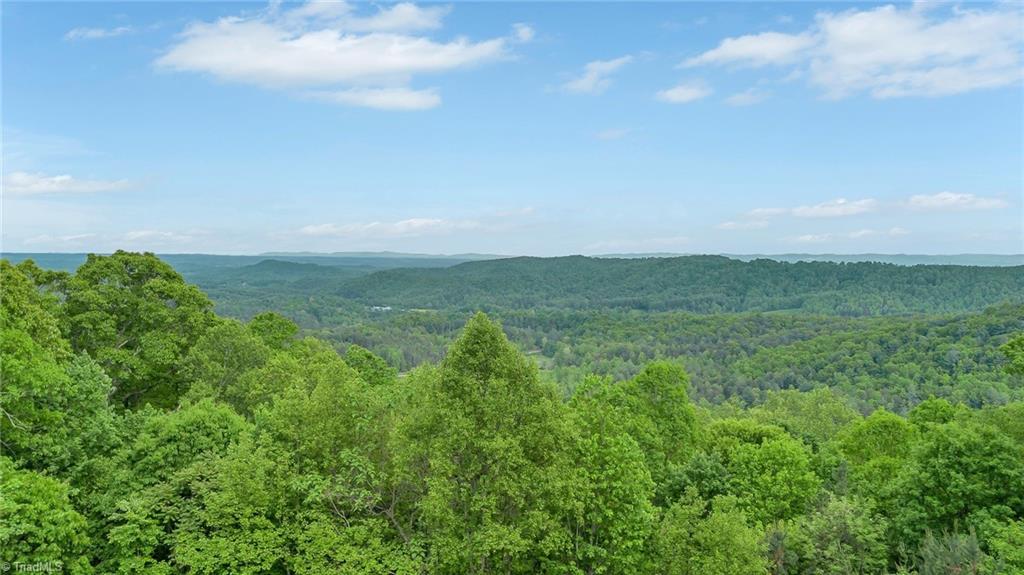 135 Chestnut Mountain Farms Parkway, McGrady, North Carolina image 13