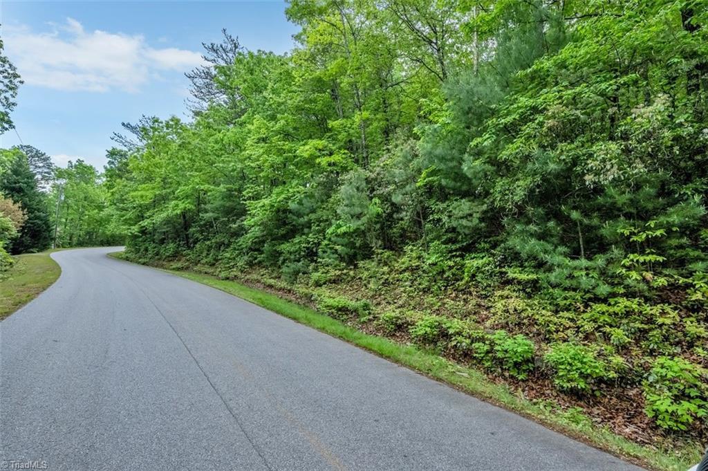 135 Chestnut Mountain Farms Parkway, McGrady, North Carolina image 14