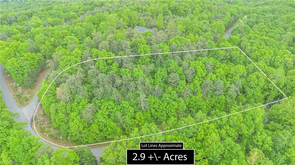 135 Chestnut Mountain Farms Parkway, McGrady, North Carolina image 2