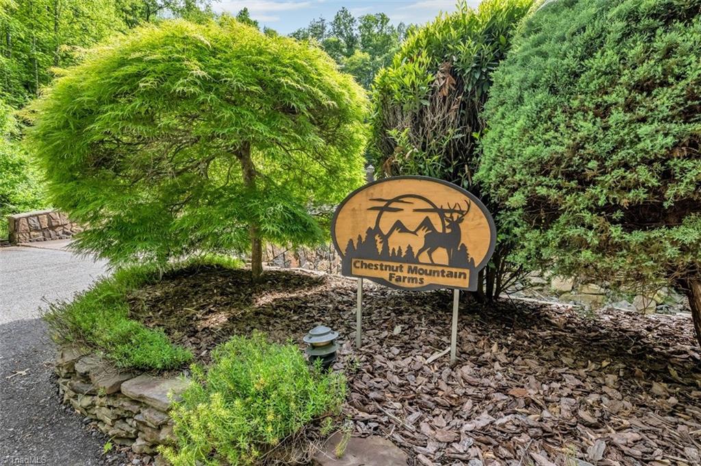 135 Chestnut Mountain Farms Parkway, McGrady, North Carolina image 9