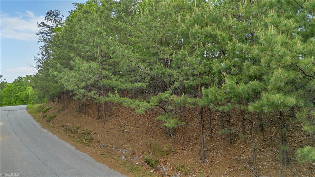 135 Chestnut Mountain Farms Parkway, McGrady, North Carolina image 3