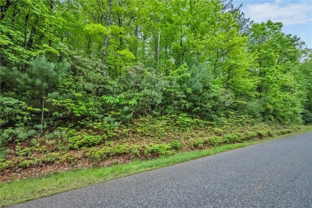 135 Chestnut Mountain Farms Parkway, McGrady, North Carolina image 19
