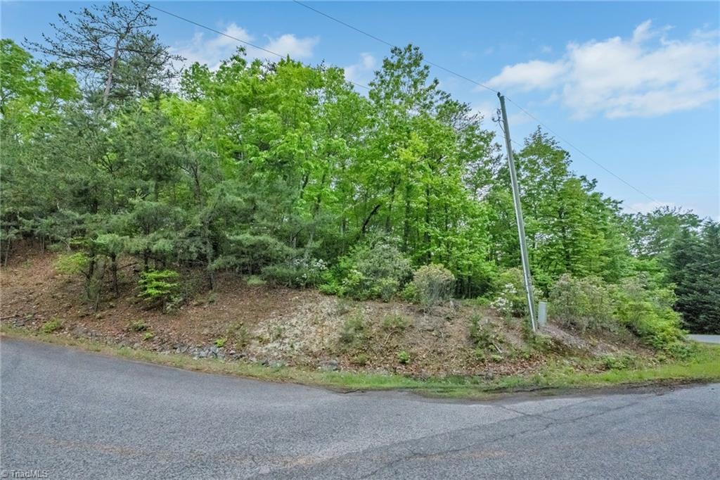 135 Chestnut Mountain Farms Parkway, McGrady, North Carolina image 16