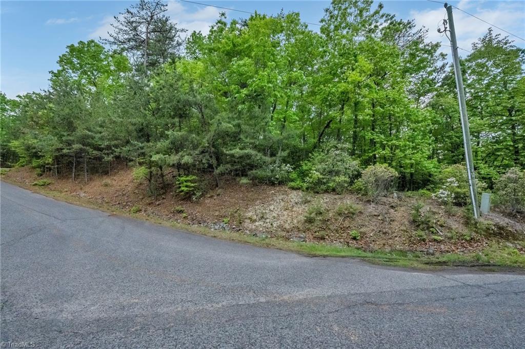 135 Chestnut Mountain Farms Parkway, McGrady, North Carolina image 17
