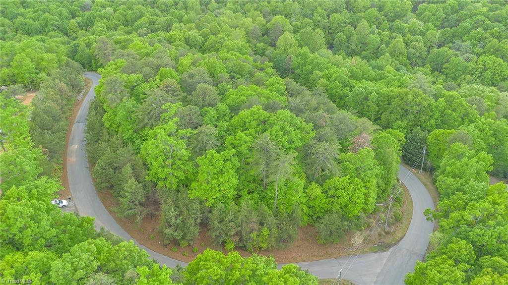 135 Chestnut Mountain Farms Parkway, McGrady, North Carolina image 1