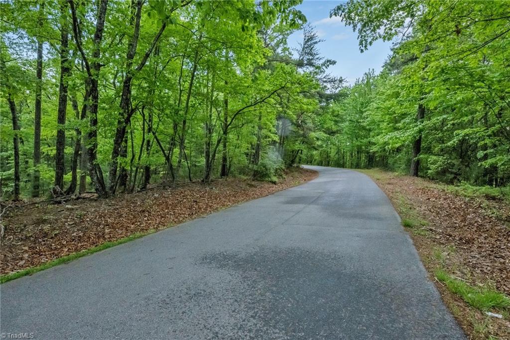 135 Chestnut Mountain Farms Parkway, McGrady, North Carolina image 21