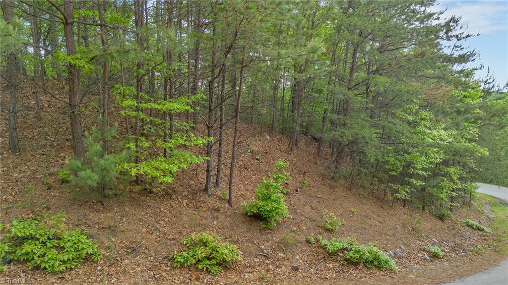 135 Chestnut Mountain Farms Parkway, McGrady, North Carolina image 5