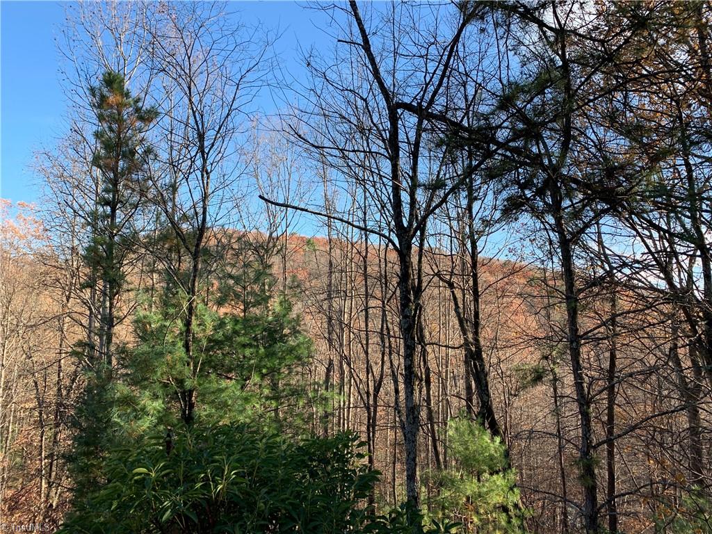 TBD (Lot 4) Wolf Den Lane