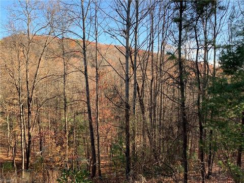 TBD (Lot 4) Wolf Den Lane Lenoir NC 28645