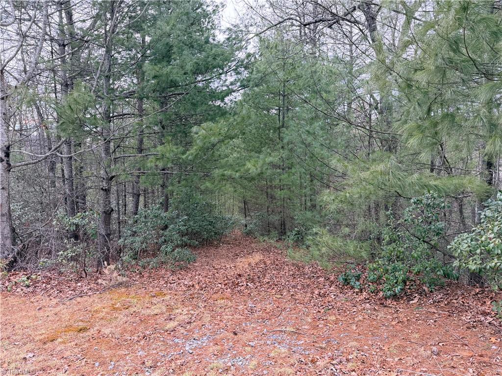 TBD (Lot 4) Wolf Den Lane