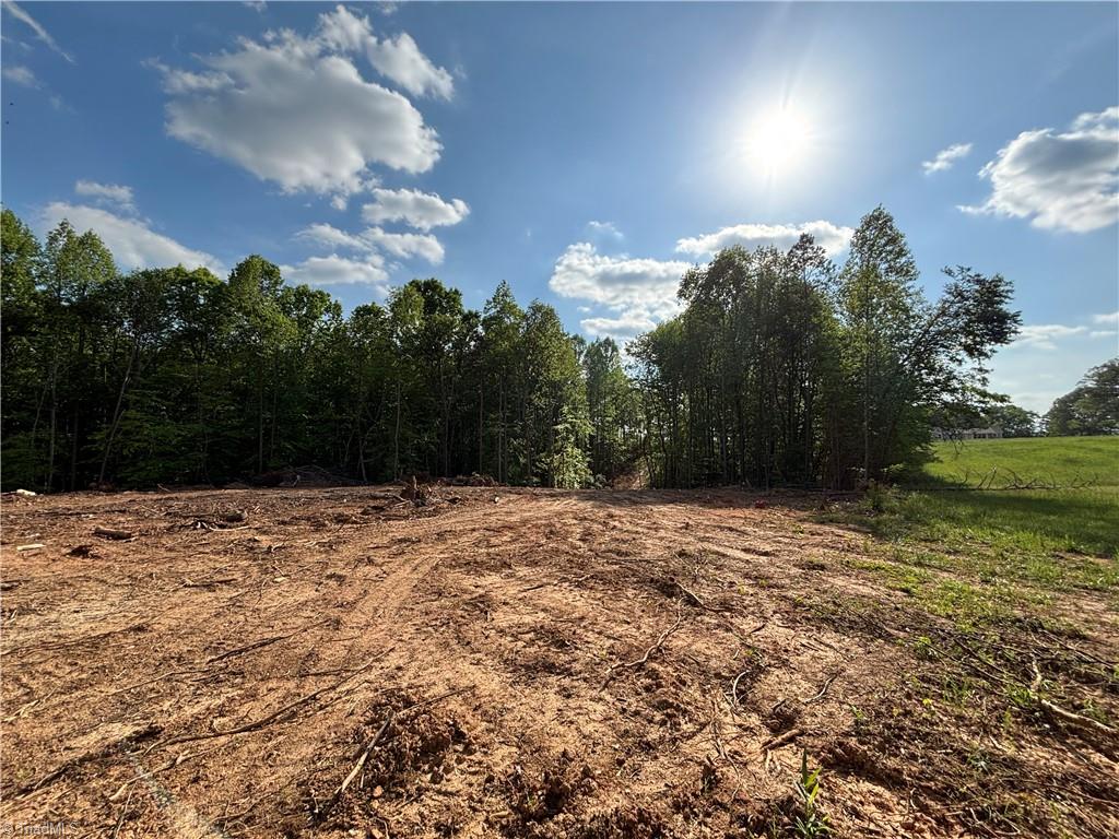 00 Kirby Bowman Road, Siloam, North Carolina image 11