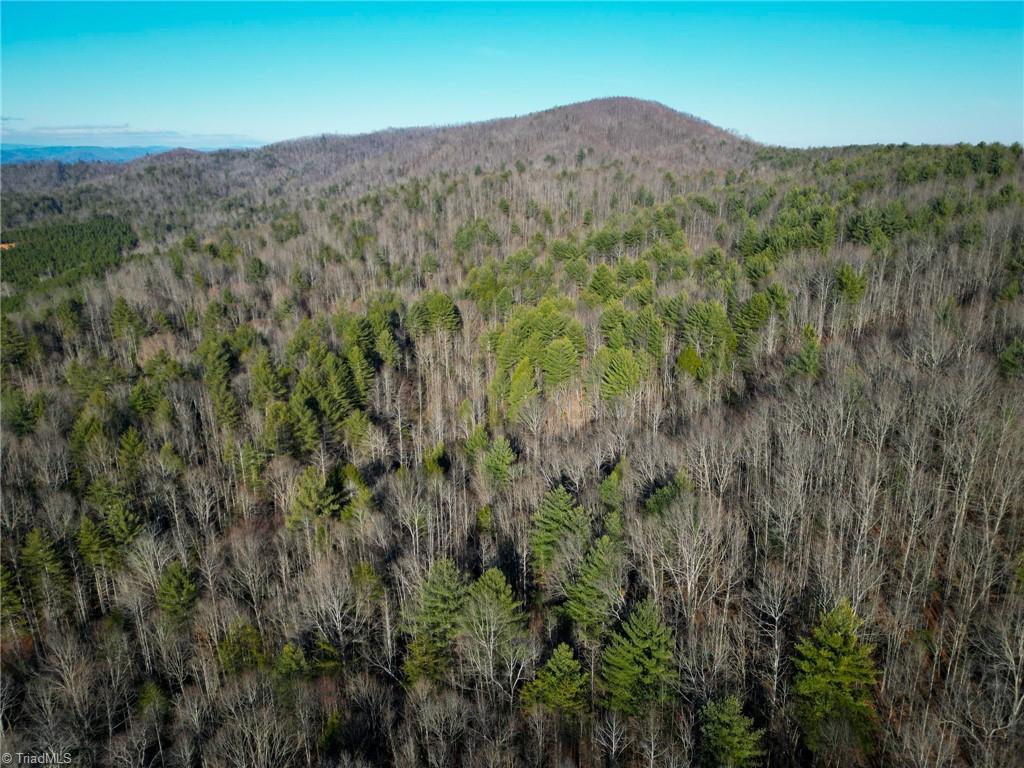 3399 Beaver Creek Road, Boomer, North Carolina image 9