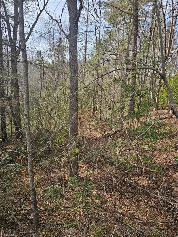 Lot 10 Linda Carol Avenue, Wilkesboro, North Carolina image 7