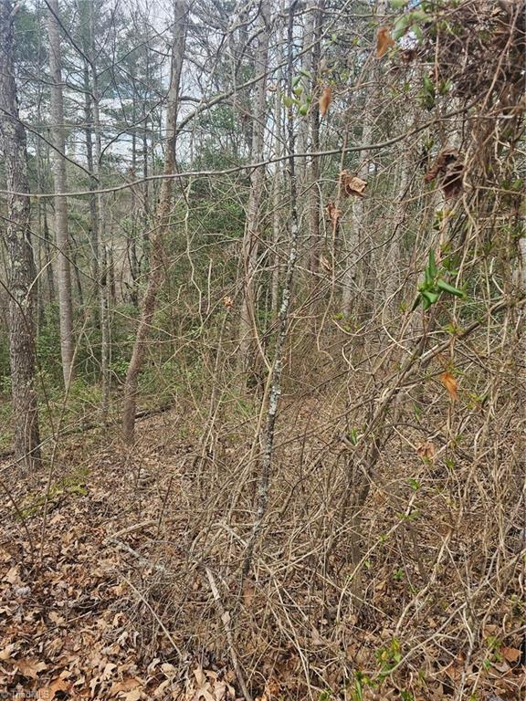 Lot 10 Linda Carol Avenue, Wilkesboro, North Carolina image 2