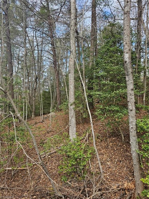Lot 10 Linda Carol Avenue, Wilkesboro, North Carolina image 4