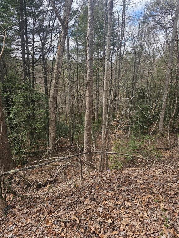 Lot 10 Linda Carol Avenue, Wilkesboro, North Carolina image 1
