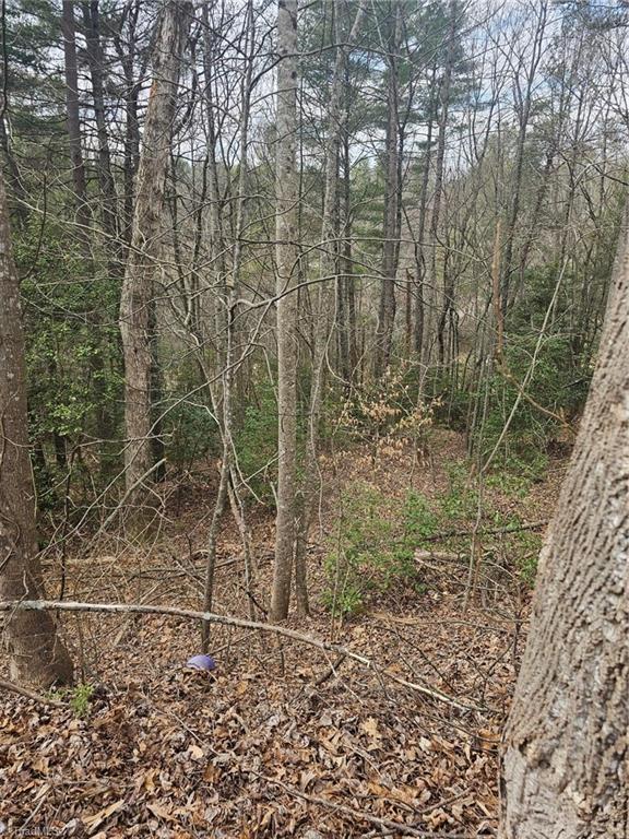 Lot 10 Linda Carol Avenue, Wilkesboro, North Carolina image 3