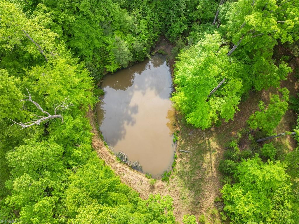 Hauser Road, Lewisville, North Carolina image 6