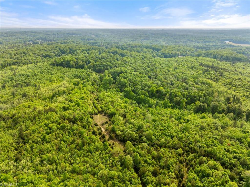 Hauser Road, Lewisville, North Carolina image 4