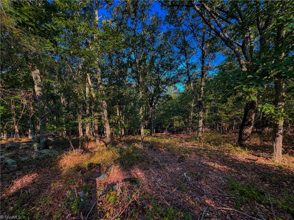 2389 Sierra Trace Road, Denton, North Carolina image 9