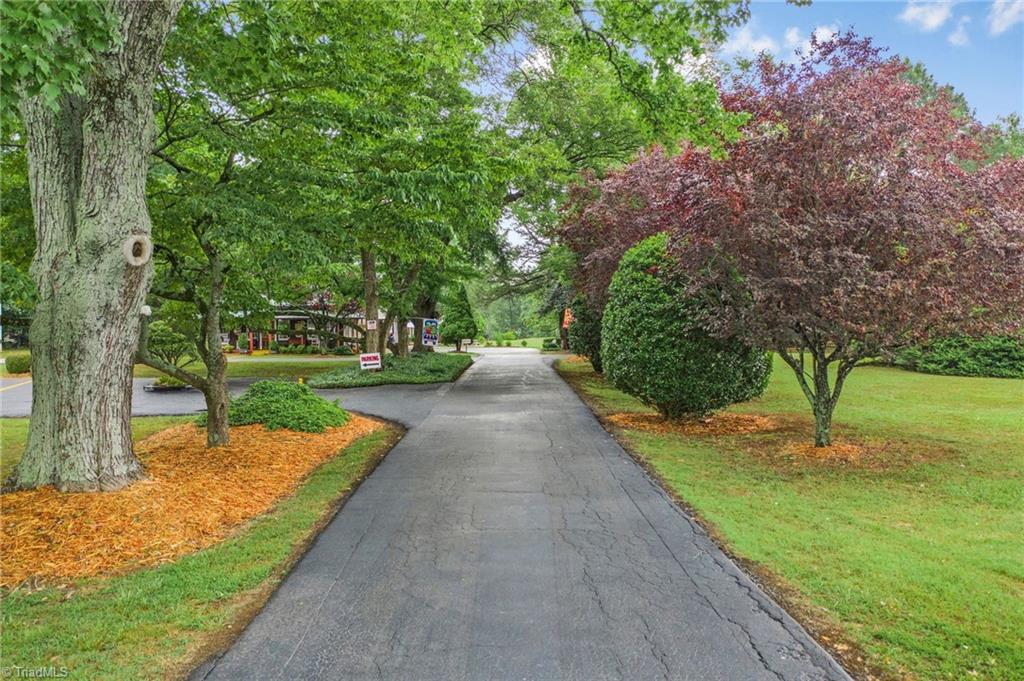 156 March Manor Drive, Lexington, North Carolina image 3