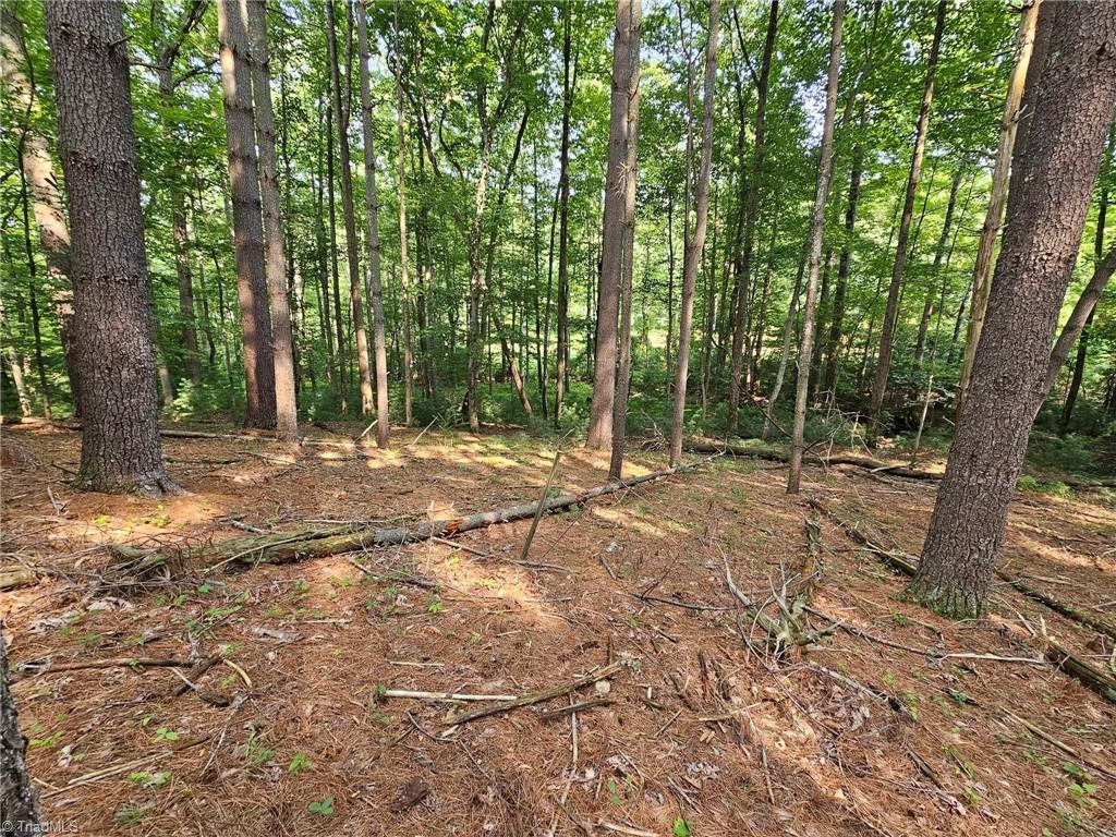 LOT 82 Mcintosh Drive, Lowgap, North Carolina image 6